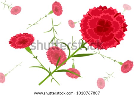 red carnation wallpaper