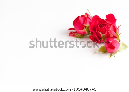 White background with flowers