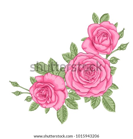 beautiful bouquet with three pink roses and leaves. Floral arrangement. design greeting card and invitation of the wedding, birthday, Valentine's Day, mother's day and other holiday.