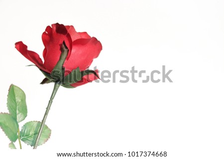Red fabric rose isolated on white background.
