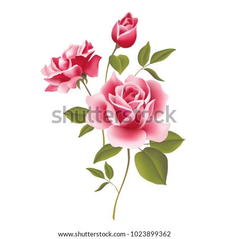 flowers. vector illustration