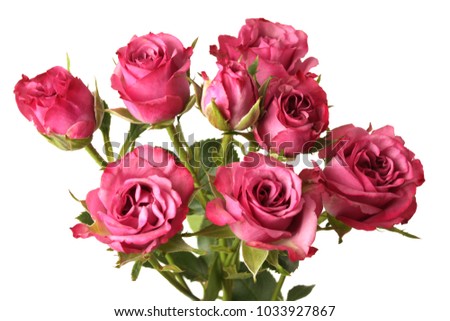 Red roses flower bouquet on white background. Isolated.