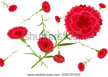 carnation flat texture