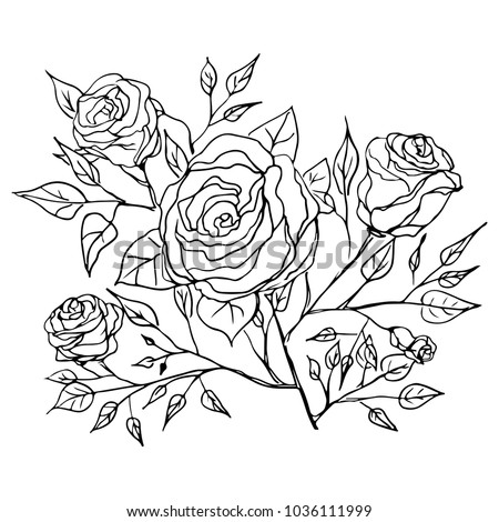 Graphic flower art illustration. Vector floral sketch background. Vintage isolated black decoration element.