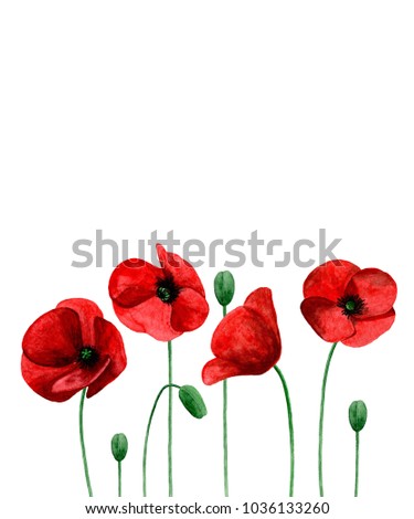 Watercolor poppies. Red flowers bouquet. Greeting card design template