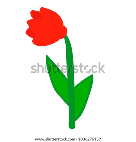  flower red on white background