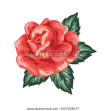 Beautiful Red Rose in Painting Vector Illustration.