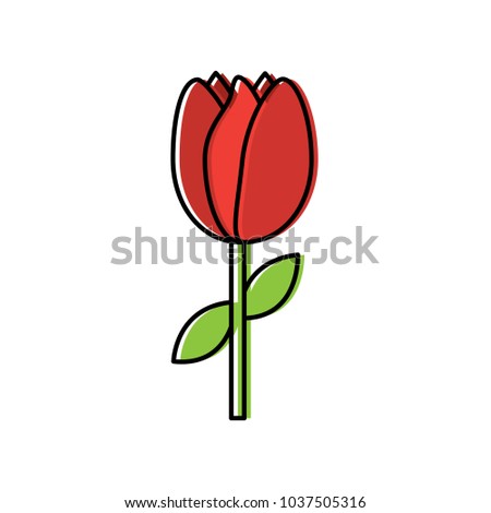 tulip flower stem leaves natural floral