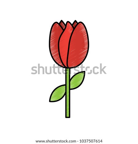 tulip spring icon image 