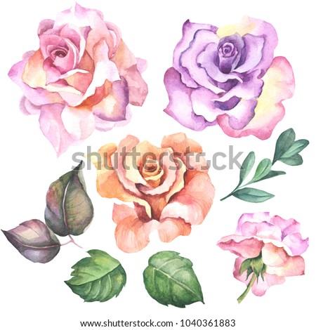 set of watercolor roses and leaves