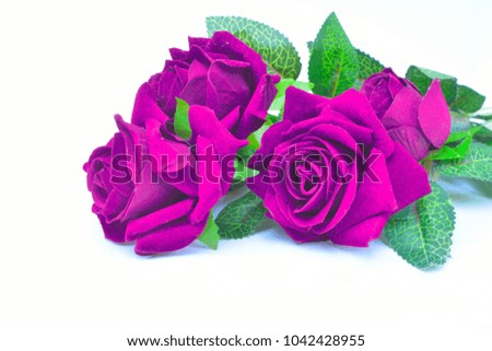 Purple rose artificial background