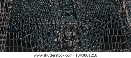 abstract background of crocodile skin
