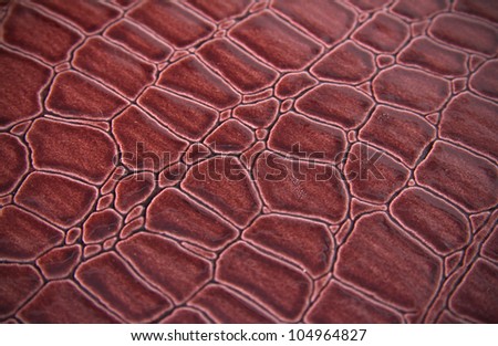 Background, texture of a skin of a snake close up