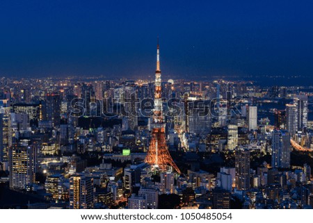 The night view of Tokyo is wonderful.