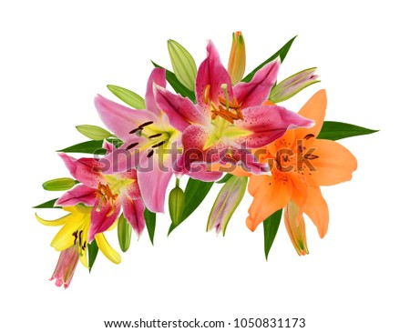 Beautiful lily flower bouquet isolated on white background
