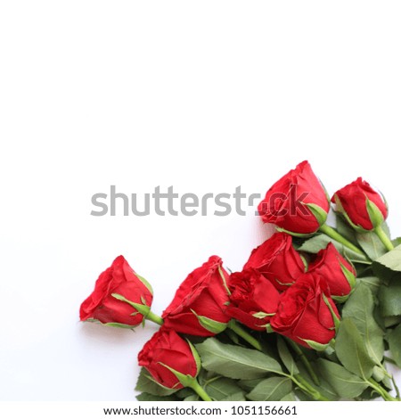 Red Rose Multipurpose Background for Anniversary, Wedding, Birth