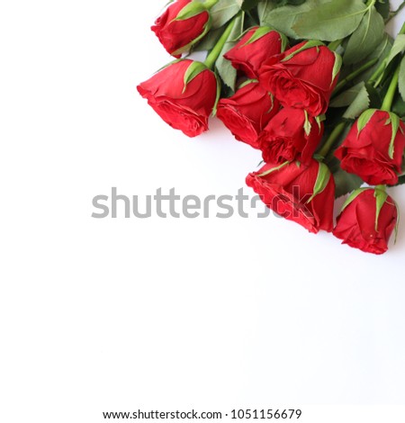 Red Rose Multipurpose Background for Anniversary, Wedding, Birth