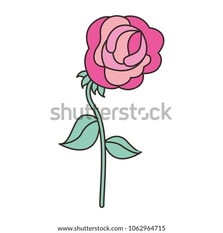 flower in the form of rose 