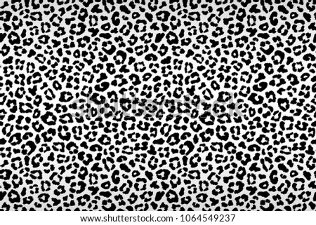 Black gray white leopard fur horizontal texture. Vector