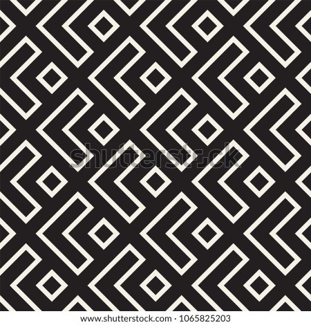 Stylish lines lattice. Ethnic monochrome texture. Abstract geometric background design. Vector seamless black and white pattern.