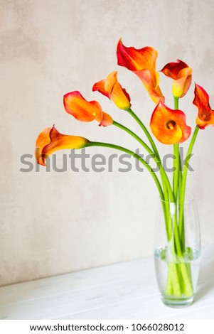 Bouquet of fresh orange Calla lilly flowers in glass vase on a white table.