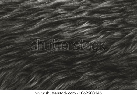 Animal black wool texture, beige fluffy fur background, dark natural hair, close-up