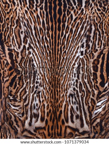 leopard fur background texture