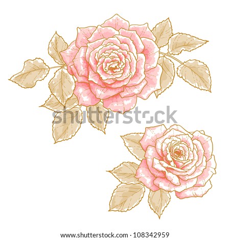 Two pink roses with leaves, isolated on a white background. Design elements.
