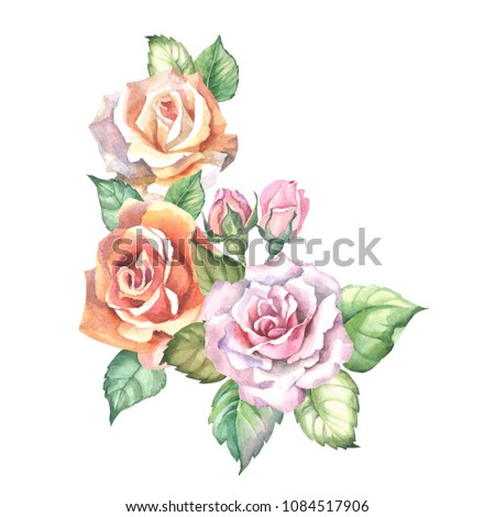 flowers composition with watercolor roses