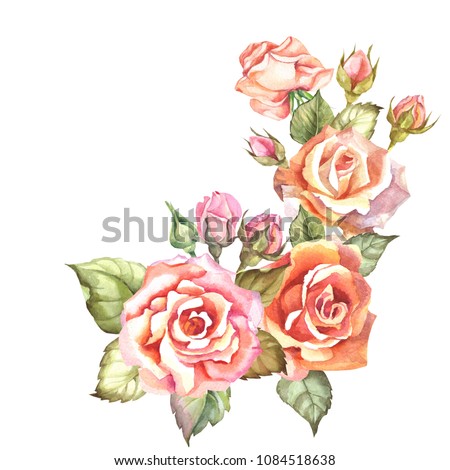 yellow and pinc roses.watercolor bouquet