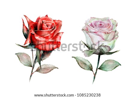 Watercolor set of isolated big roses: red and greenish pink