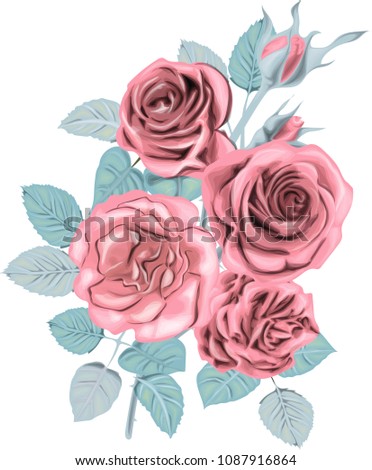 Winter  Roses _ Stylized vector bouquet _ Vintage card_ Pink roses