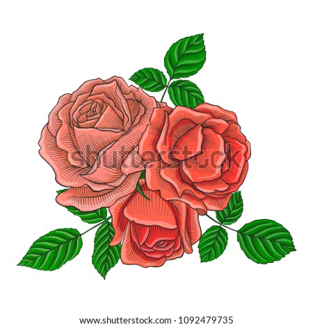 vintage vector floral composition with flowers, buds and leaves of roses, imitation of engraving, hand drawn design element
