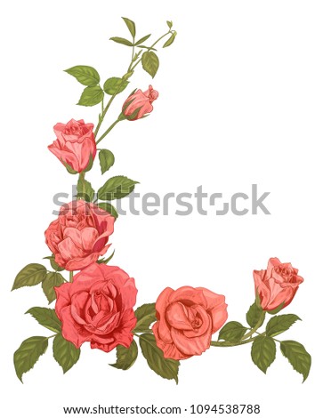 Branches pink roses, bouquet with pink, red flowers, buds, green stems, leaves on white background, hand draw sketch in engraving vintage style, vertical frame for design, vector