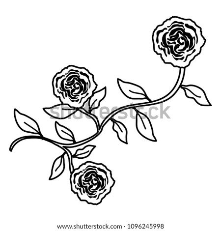 rose and leafs decorative icon