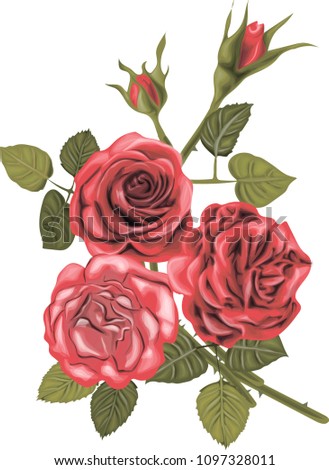 Red Roses _ Vector Bouquet _ Vintage Card with Roses