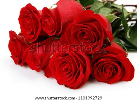 bouquet of scarlet roses on a white background