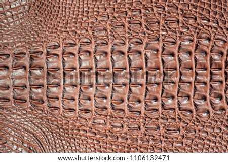 Abstract texture background of crocodile skin.
