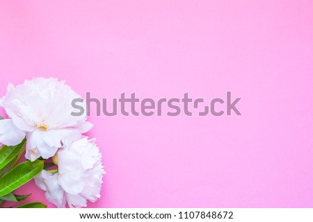 Flatlay with pink peon flowers on pink background. Copy space.