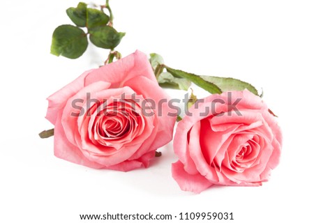 Beautiful roses flowers bunch