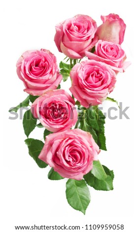Beautiful roses flowers bunch