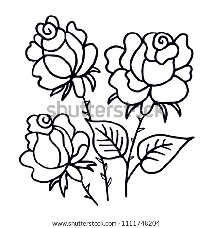 Beautiful roses in black and white for coloring. 