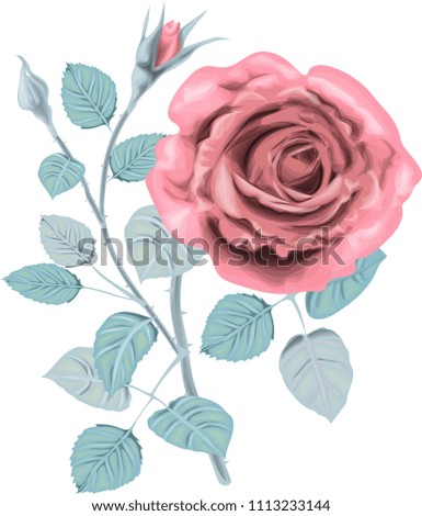 Winter  Roses _ Stylized vector bouquet _ Vintage card