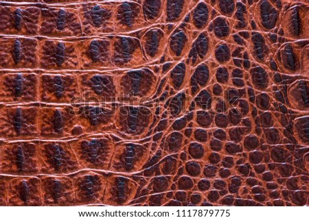 Crocodile skin. Red leather with pattern.Original texture.