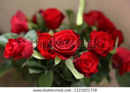 bouquet from red bright beautiful very fresh roses with green leaves as a joyful gift for the woman, girl , men