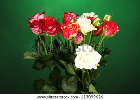Bouquet of beautiful roses on green background close-up