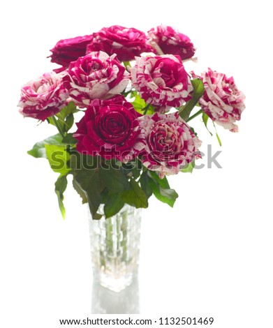 Bouquet roses isolated