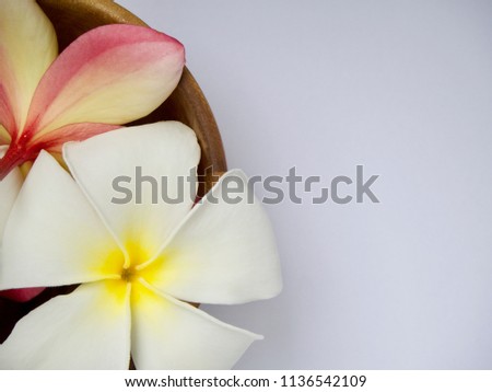 Frangipani flower in wooden bowl isolated on white background