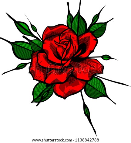 rose vector color desing