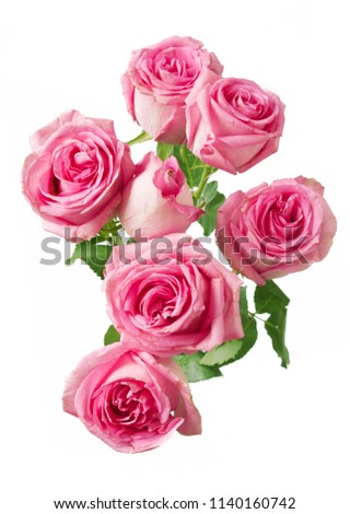 beuatiful roses bunch isolated on white background